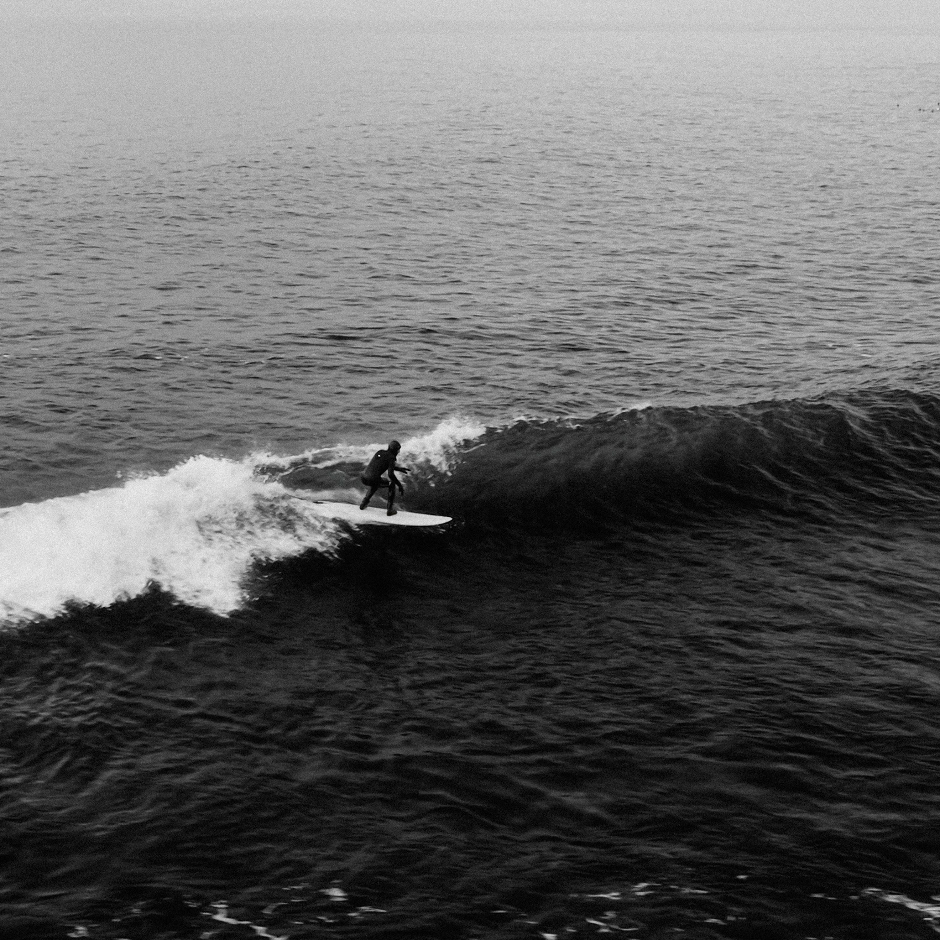 Collection Concordia Kraken