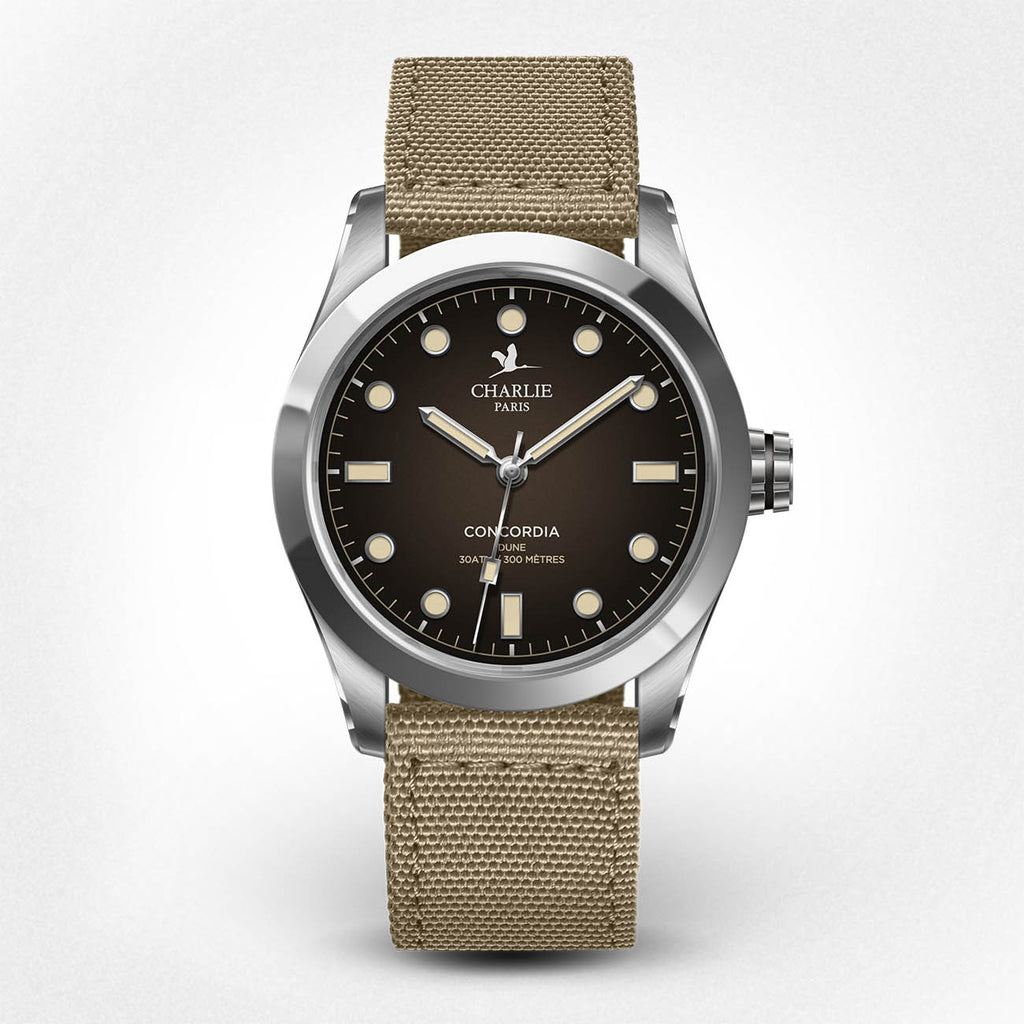 montre-homme-francaise- 